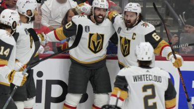 这种自信不 这种自信不