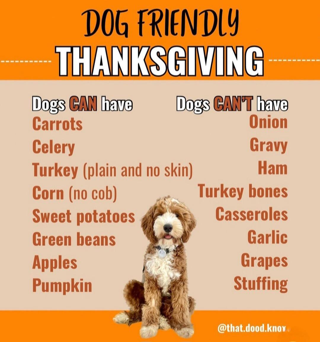 须在短期内 须在短期内