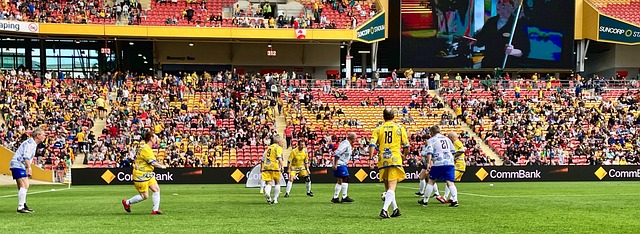 的身体素质 的身体素质