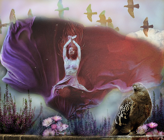 鼓地筹备中 鼓地筹备中